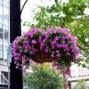 DSC_0666.jpeg